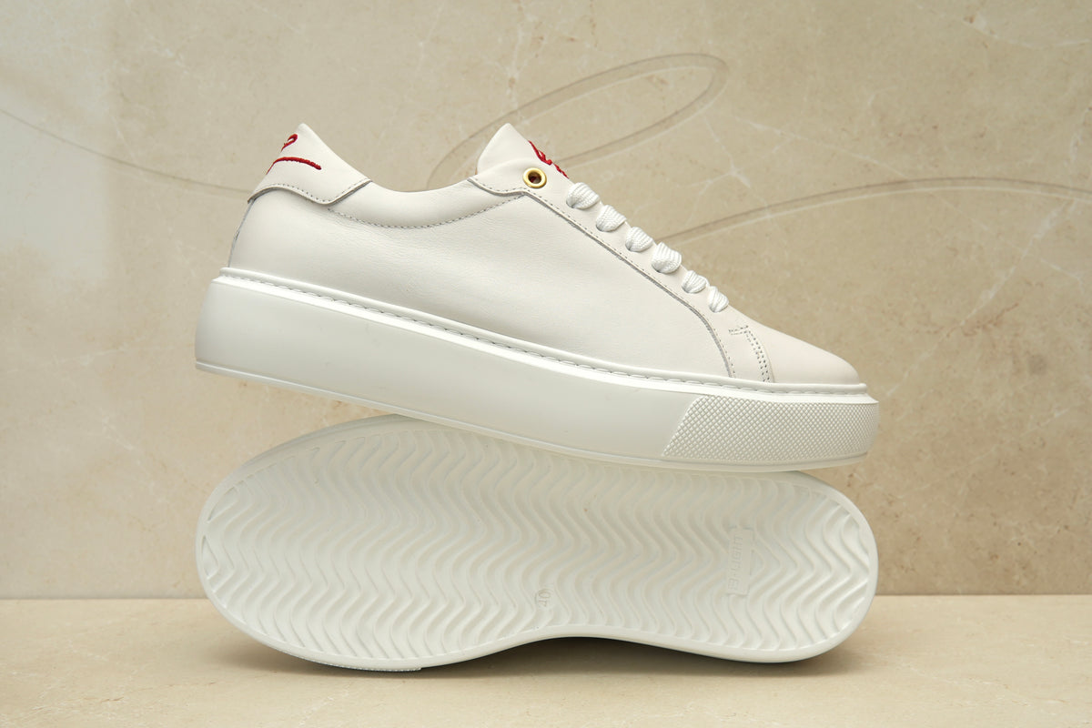 Signature - Arctic White